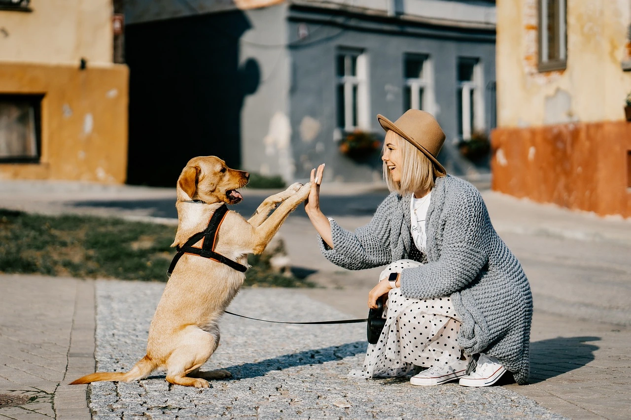 A happy woman with a golden retriever dog